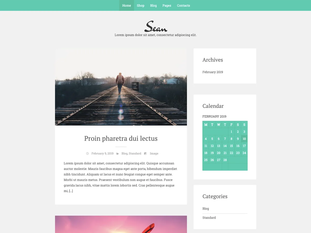 Sean Lite web sitesi teması önizlemesi