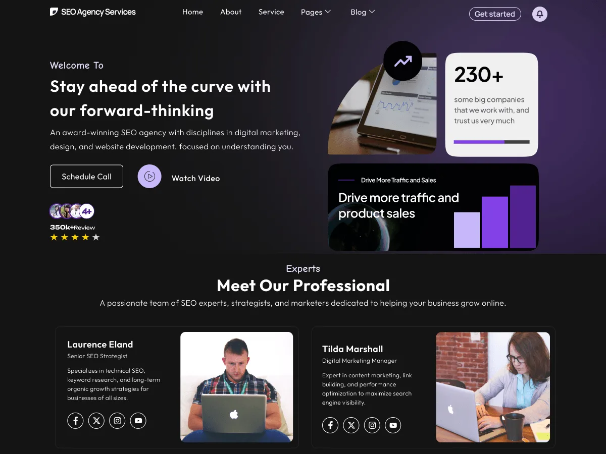 SEO Agency Services web sitesi teması önizlemesi
