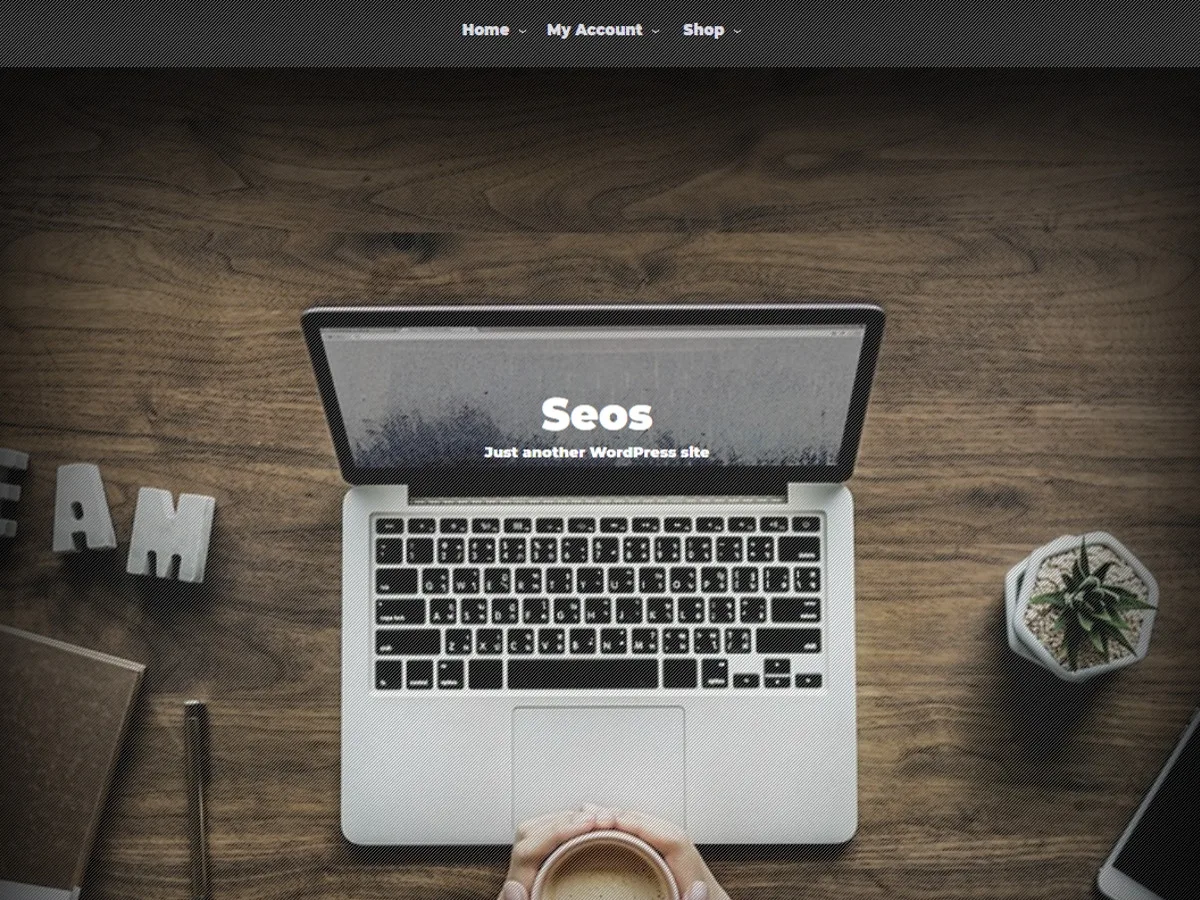 SEOS web sitesi teması önizlemesi