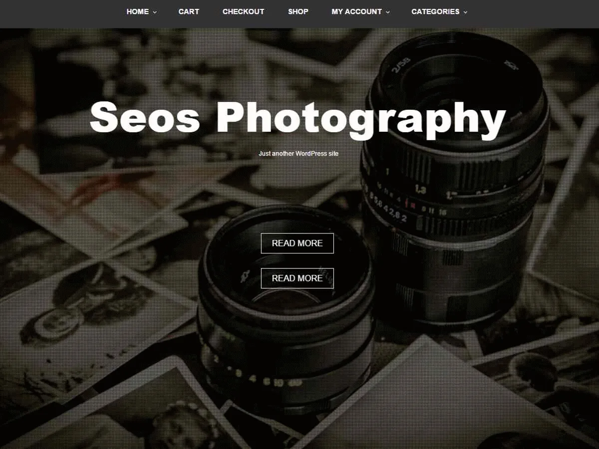 Seos Photography teması ile fotoğrafçılık web sitesi görünümü