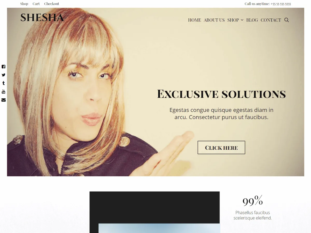 Shesha web sitesi teması ile modern ve çok yönlü bir web sitesi tasarımı