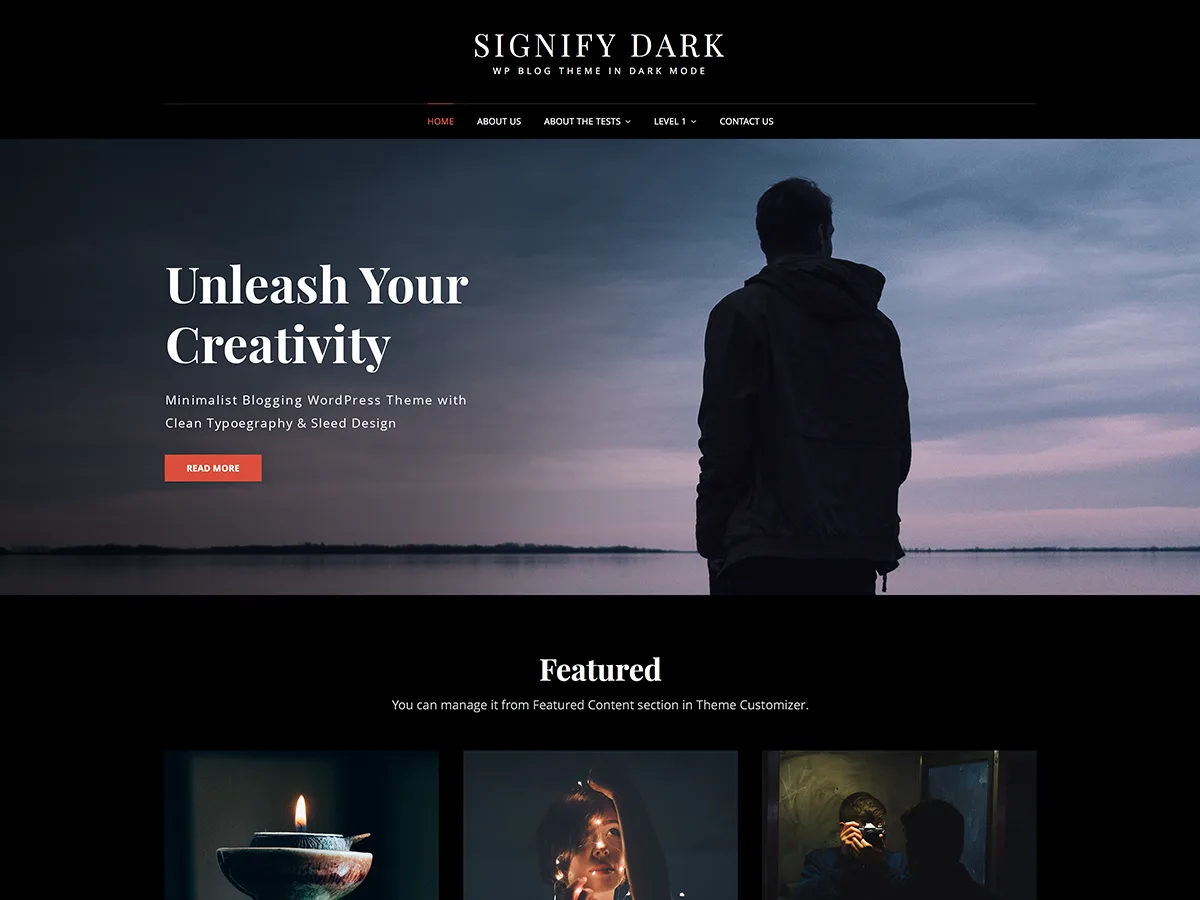 Signify Dark web sitesi teması koyu renk şemasıyla blog ve kurumsal site tasarımı