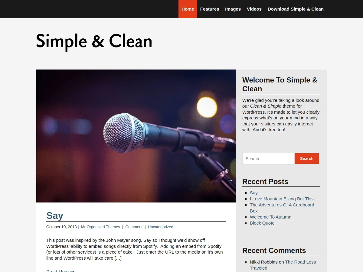 Simple and Clean web sitesi teması önizlemesi