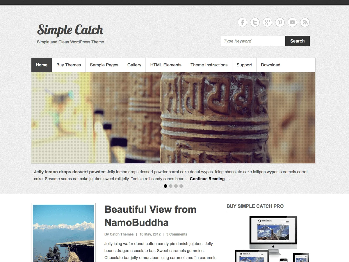 Simple Catch web sitesi teması önizlemesi