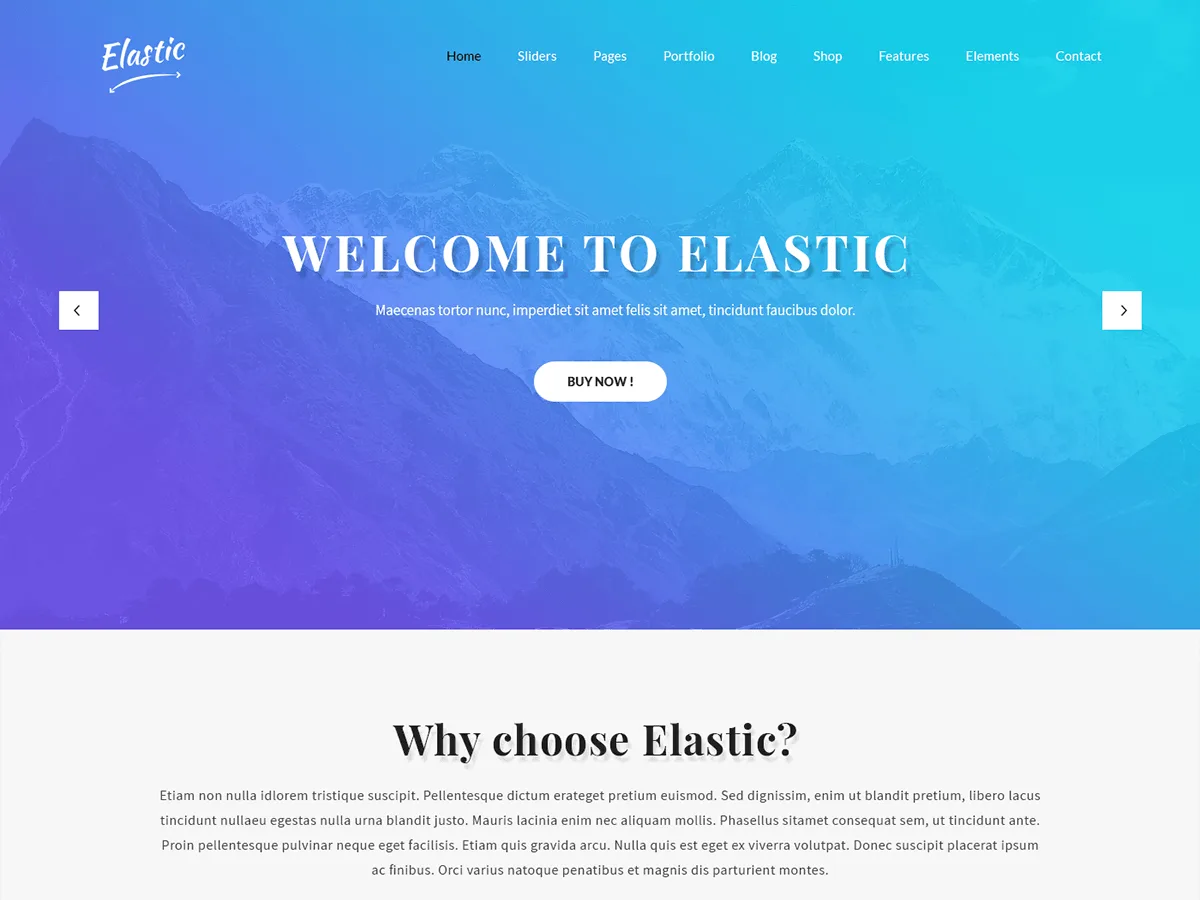 SKT Elastic web sitesi teması ile çok amaçlı ve esnek bir site görünümü