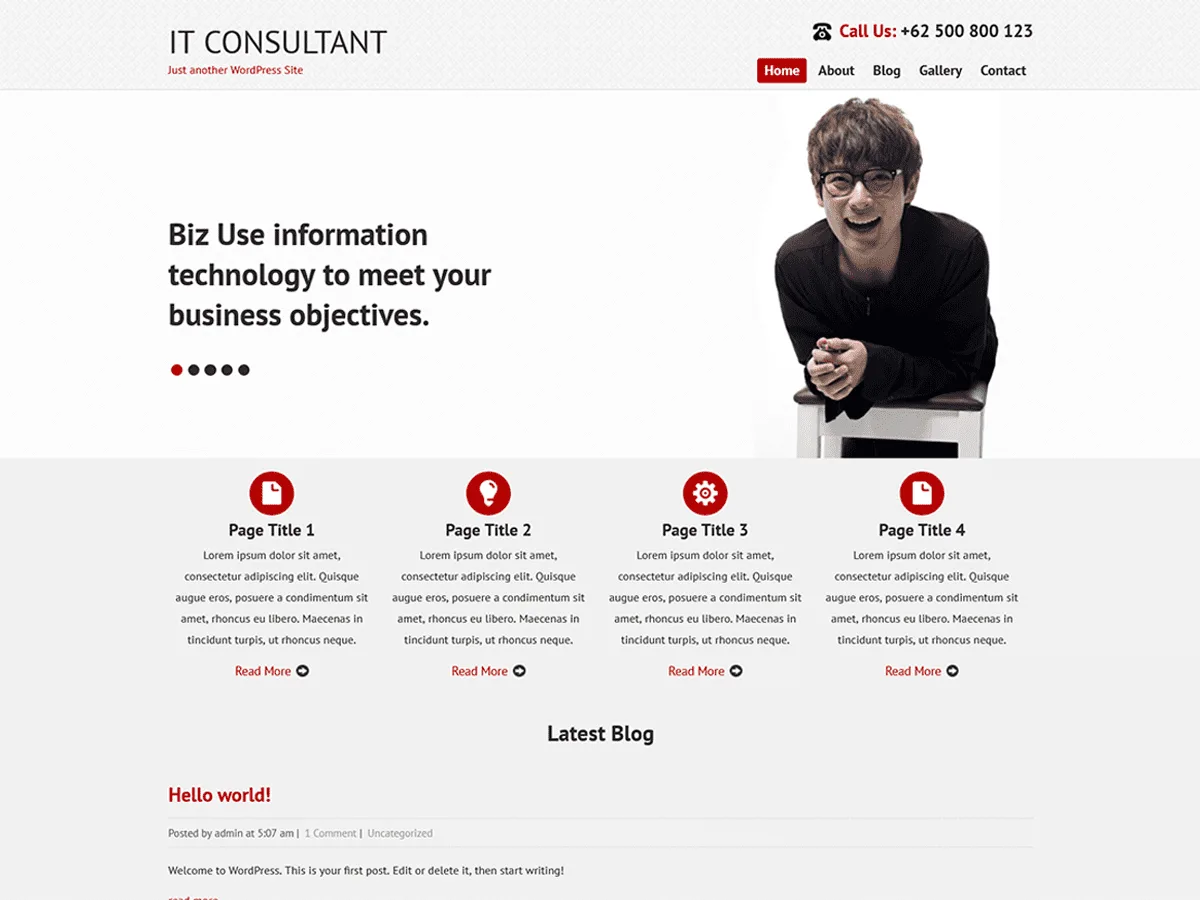 SKT IT Consultant web sitesi teması önizlemesi