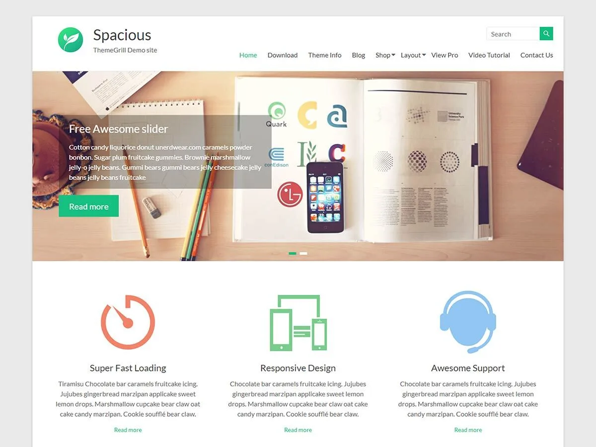 Spacious web sitesi teması ile oluşturulmuş örnek bir işletme web sitesi görünümü