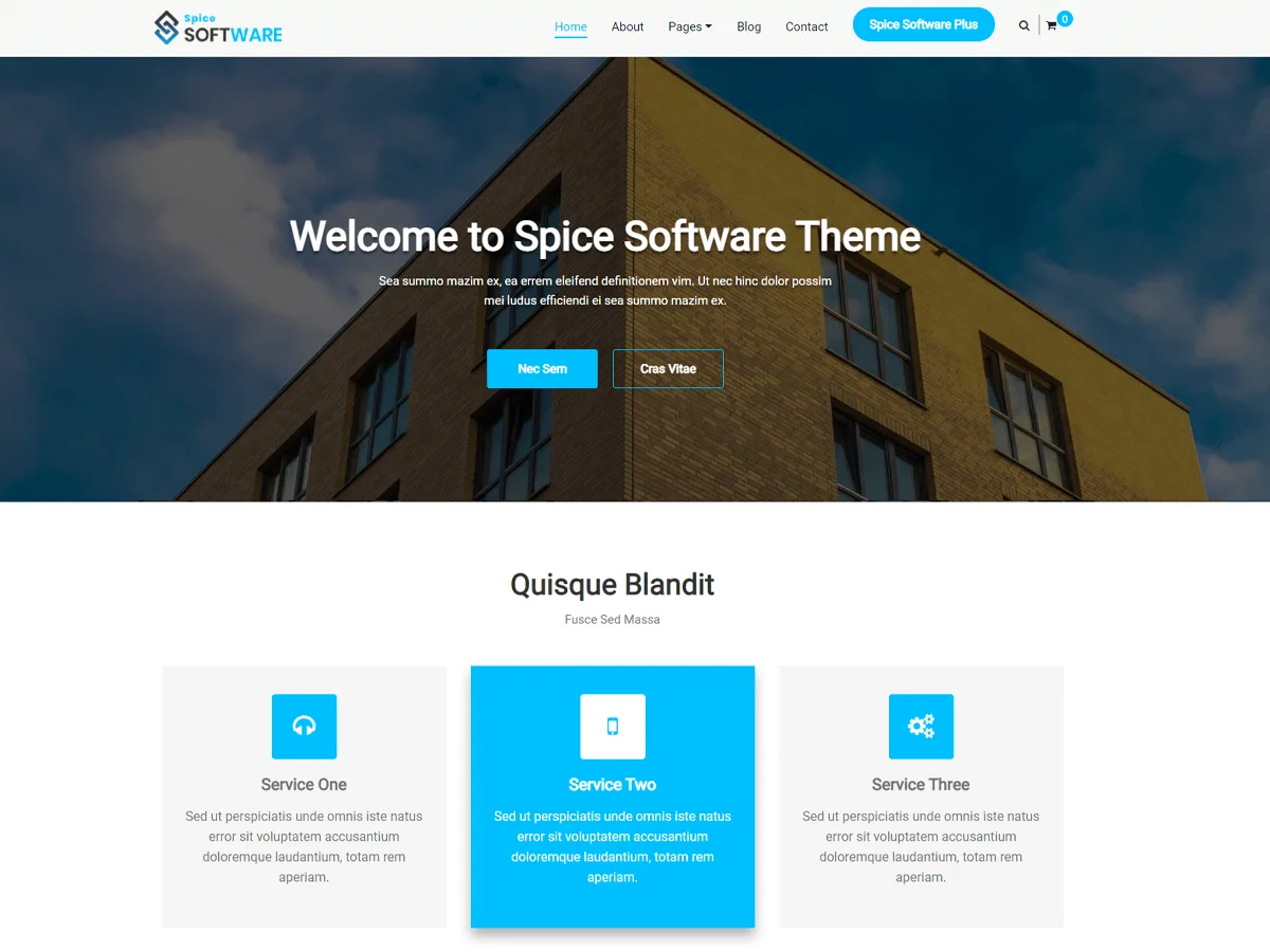 Spice Software web sitesi teması önizlemesi