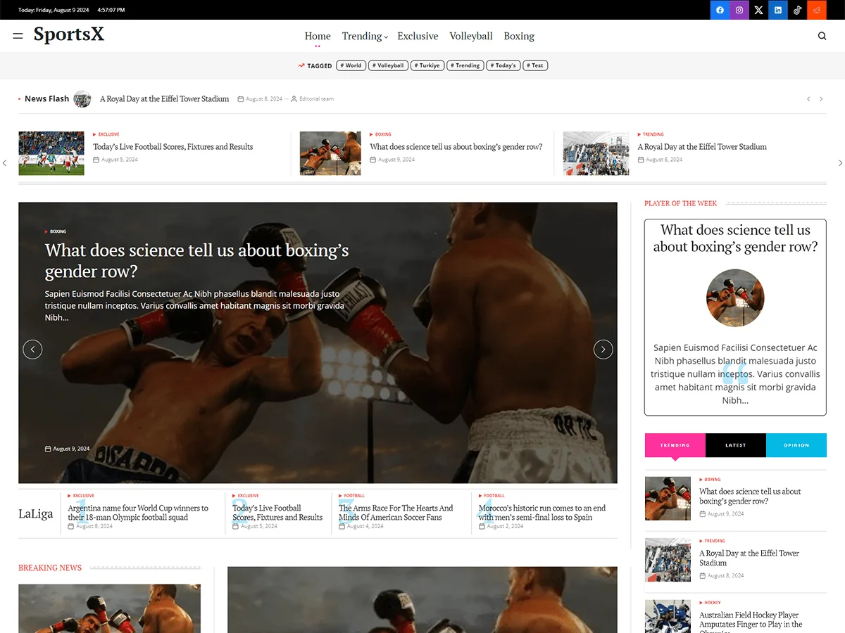 SportsX web sitesi temasının modern spor tasarımı