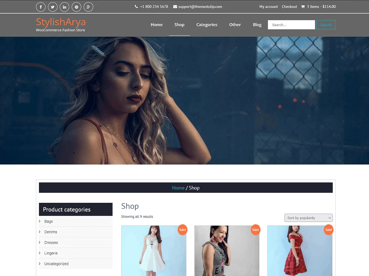 StyleishArya web sitesi teması önizlemesi