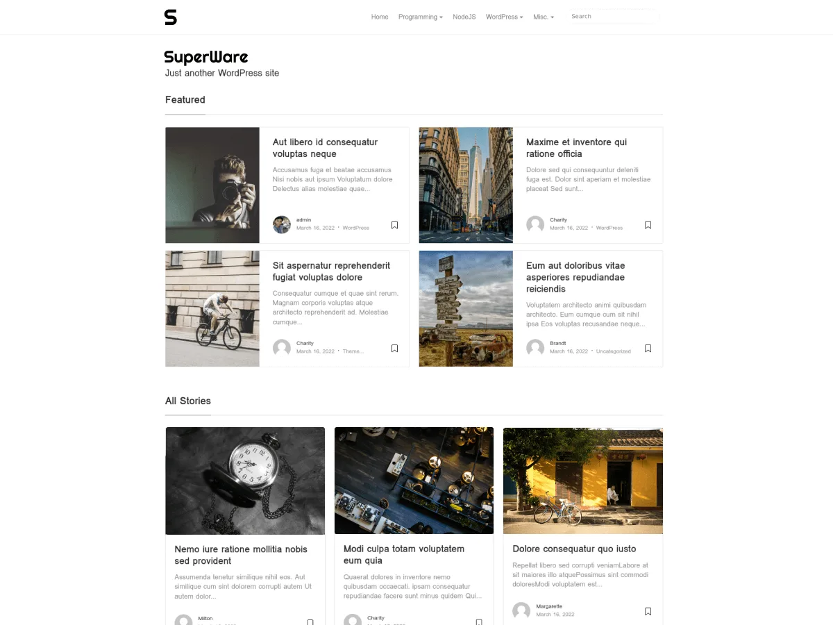 SuperWare web sitesi teması önizlemesi