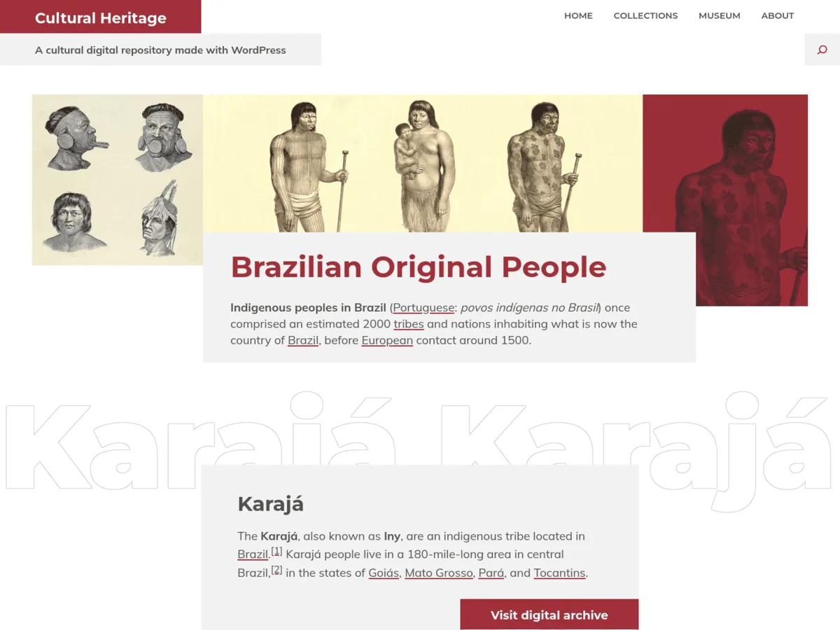 Tainá teması ile oluşturulmuş kültürel dijital arşiv web sitesi görünümü