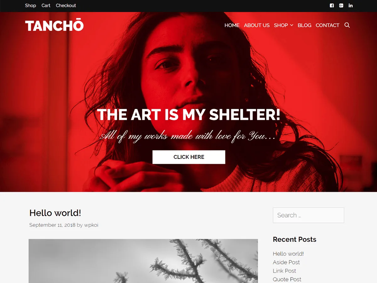 Tancho web sitesi teması ile oluşturulmuş modern bir web sitesi görünümü
