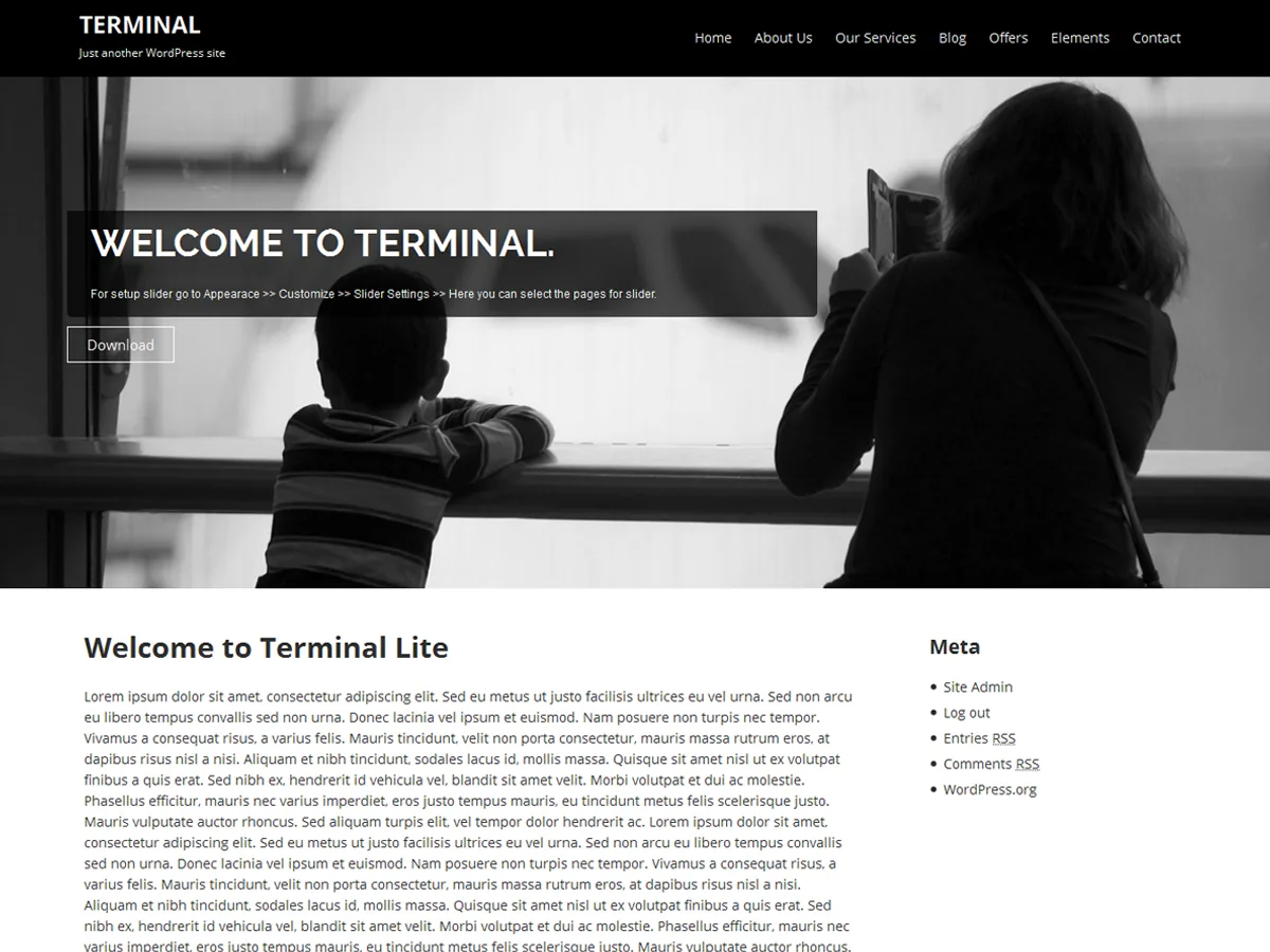 Terminal Lite kurumsal web sitesi teması