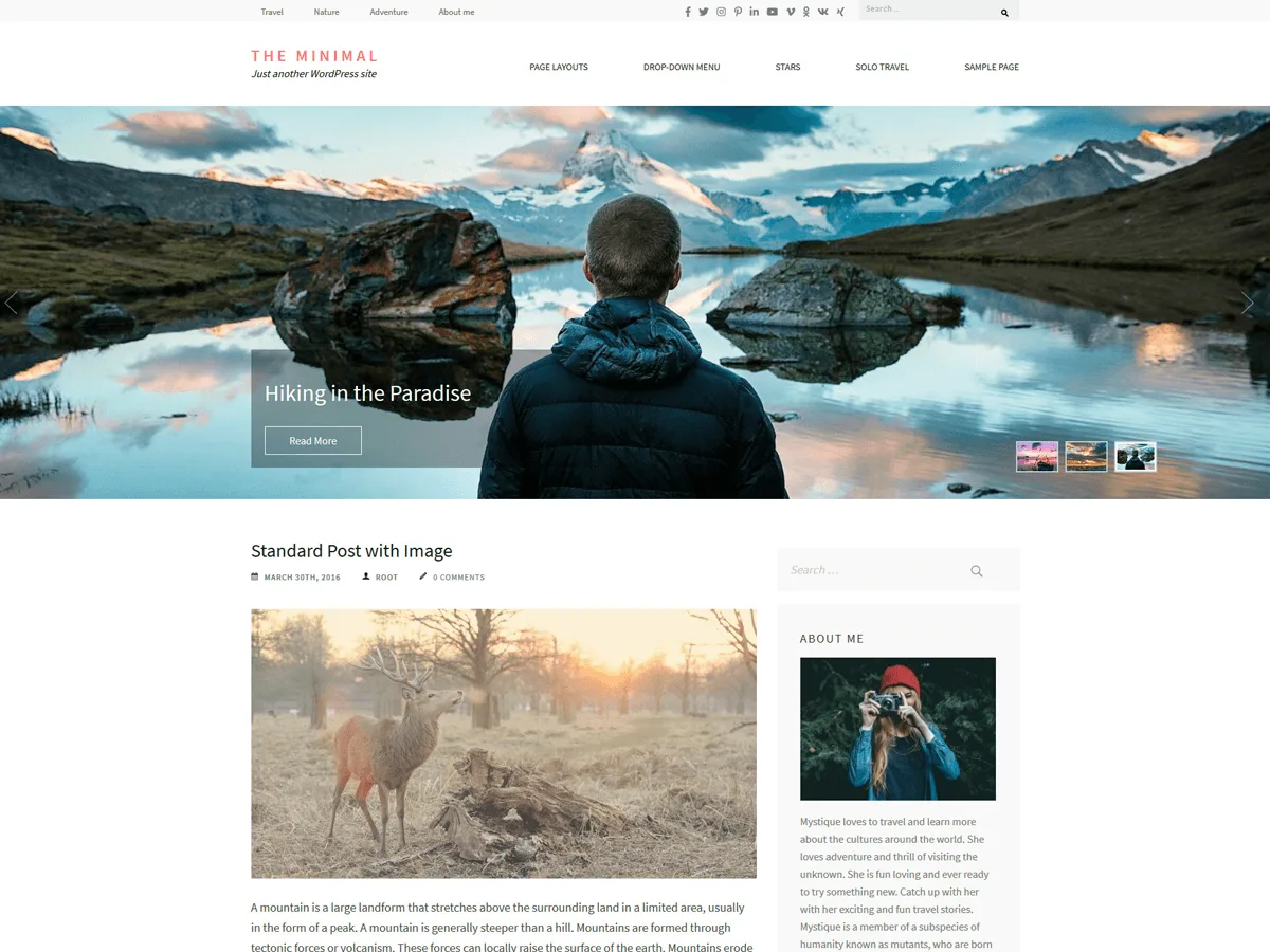 The Minimal web sitesi teması önizlemesi