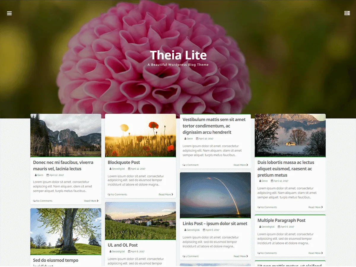 Theia Lite web sitesi teması önizlemesi
