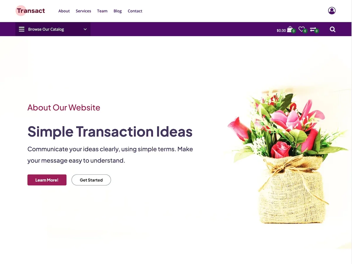 Transact web sitesi teması ile esnek ve performans odaklı site kurulumu