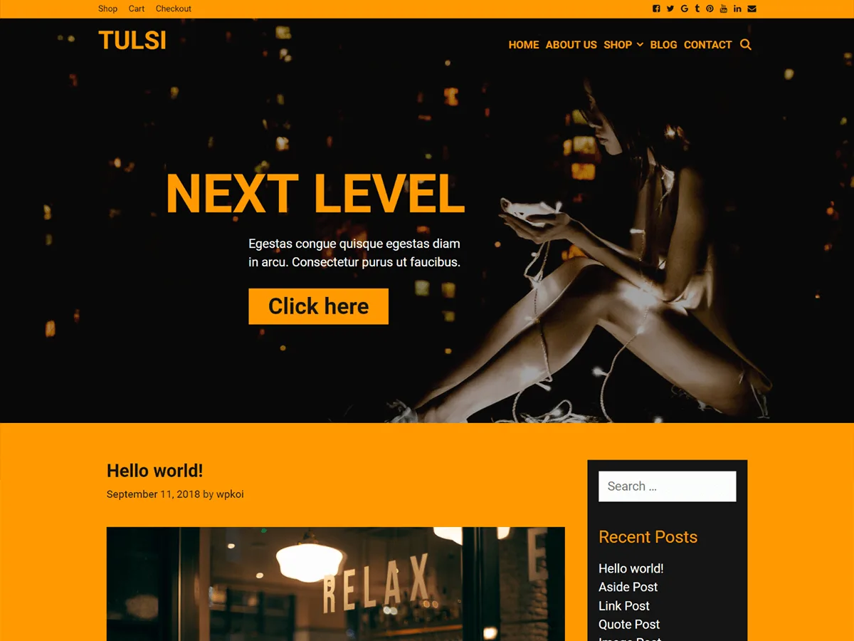 Tulsi web sitesi teması ile tasarlanmış modern bir web sitesi görünümü