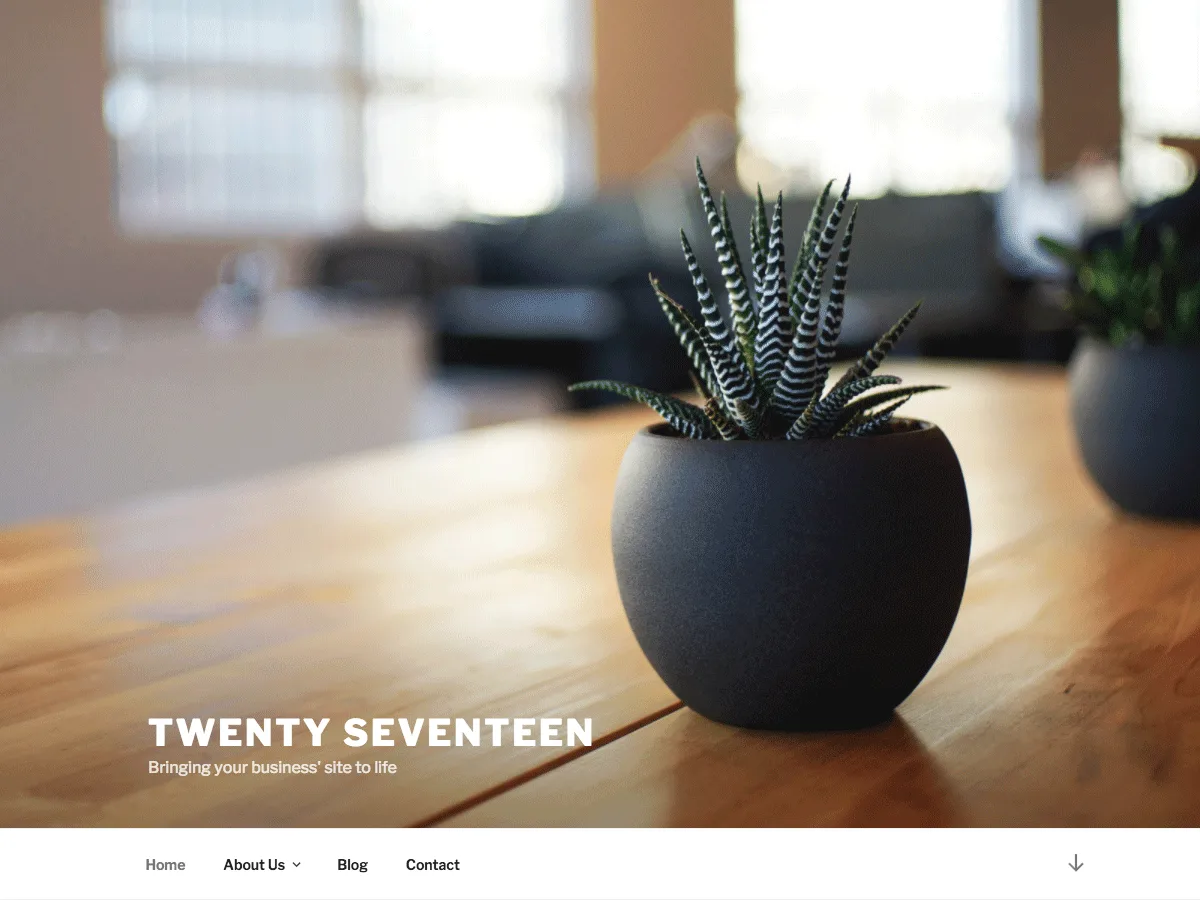 Twenty Seventeen web sitesi teması öne çıkan görsel