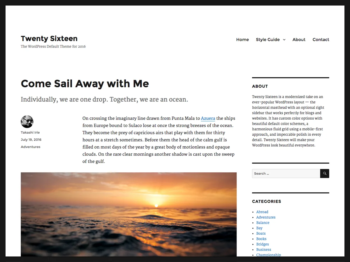 Twenty Sixteen web sitesi teması önizlemesi