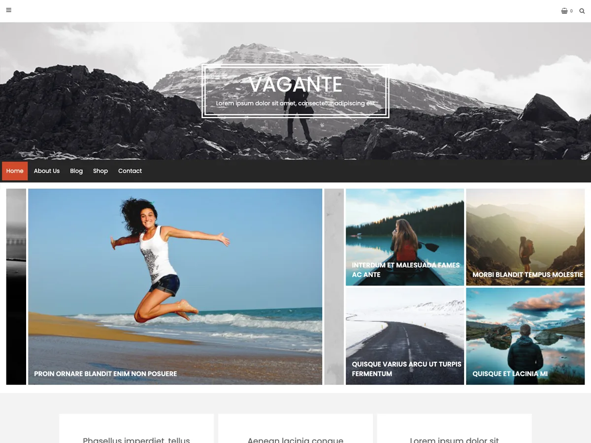 Vagante web sitesi teması önizlemesi