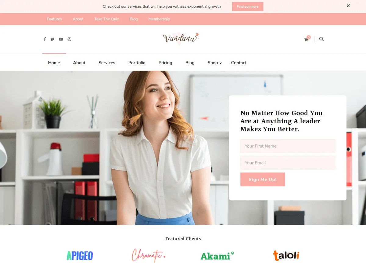 Vandana Lite web sitesi teması önizlemesi