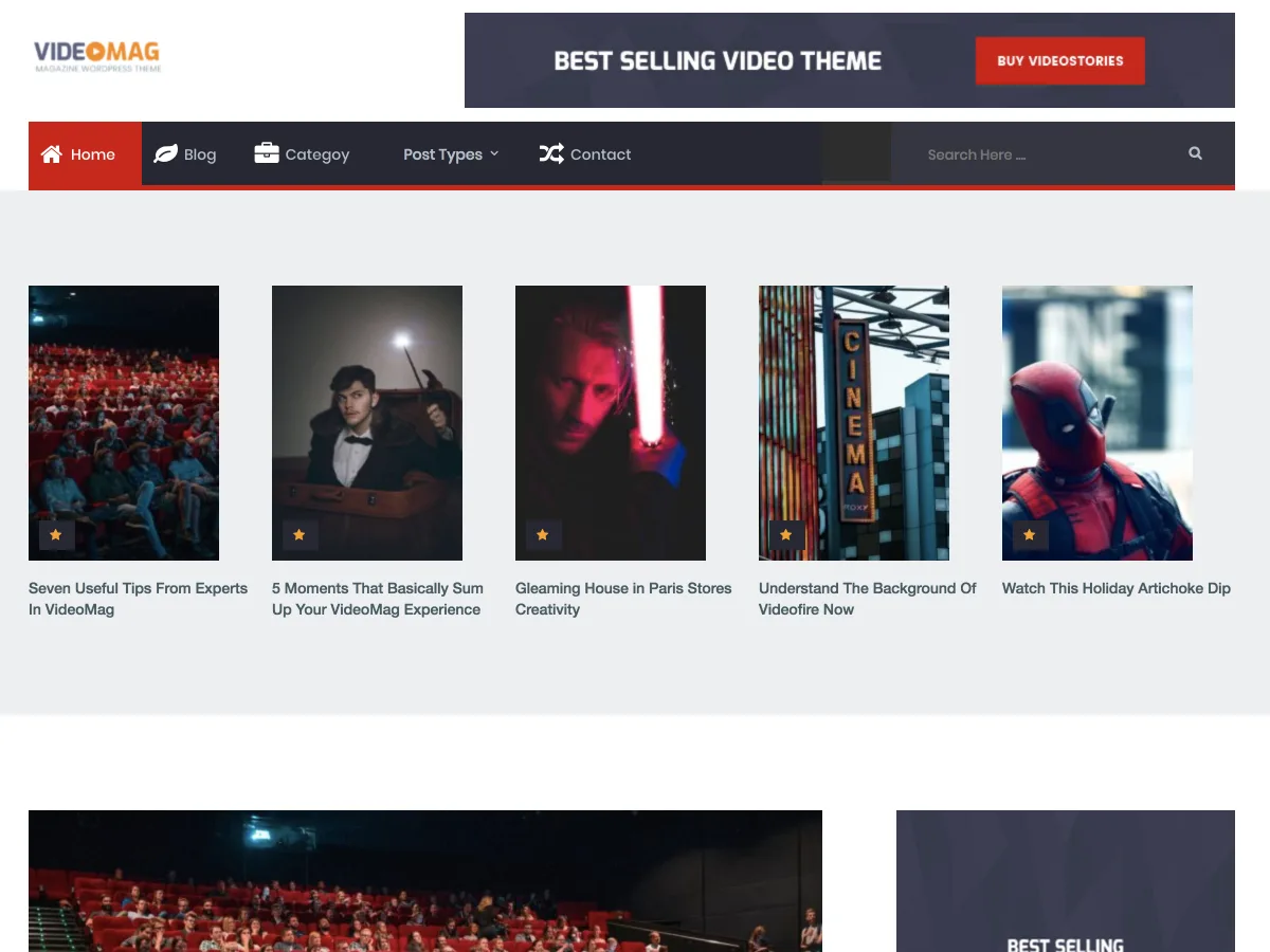 VideoMag web sitesi teması önizlemesi