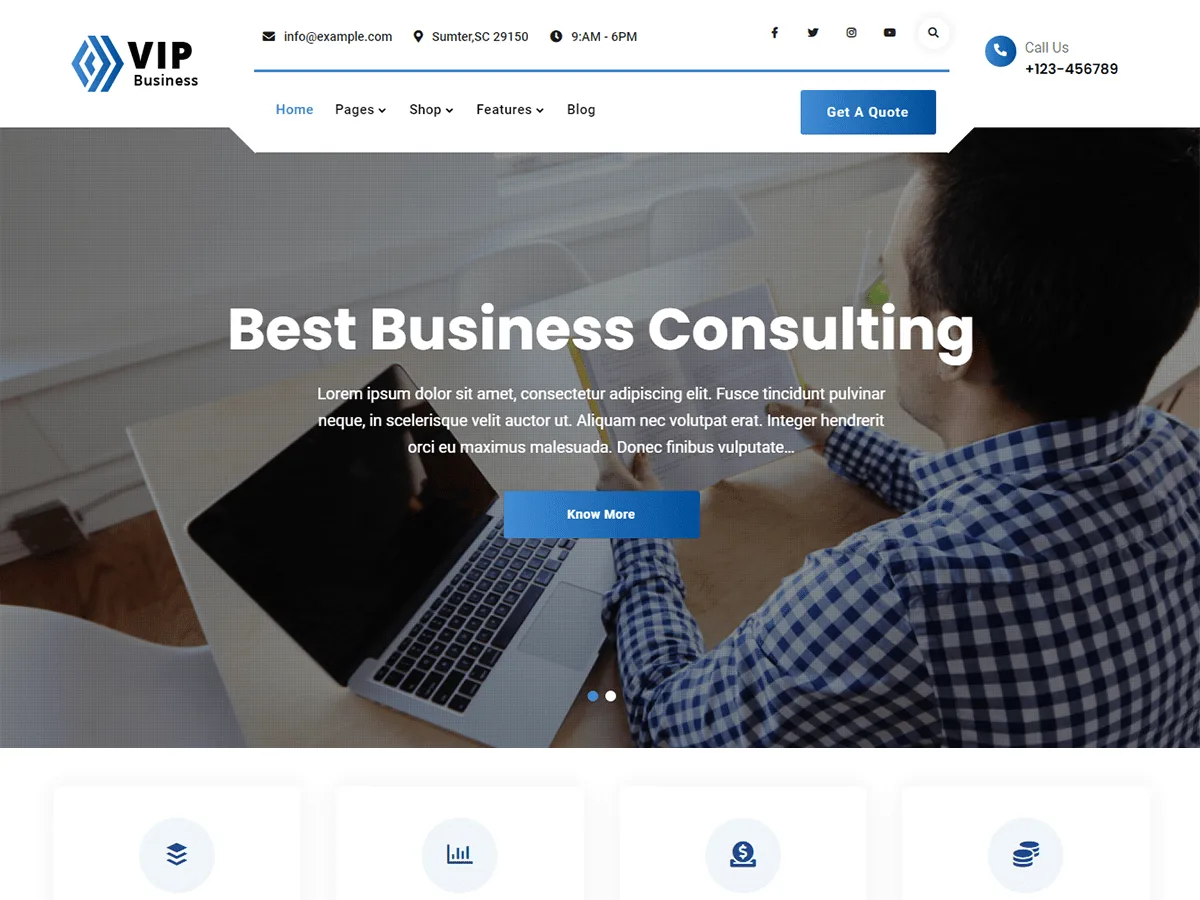 VIP Business web sitesi teması önizlemesi