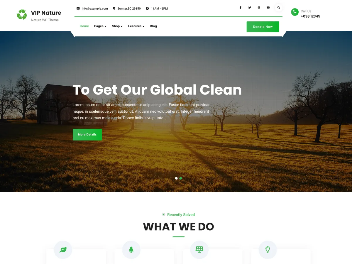 VIP Business Nature web sitesi teması önizlemesi