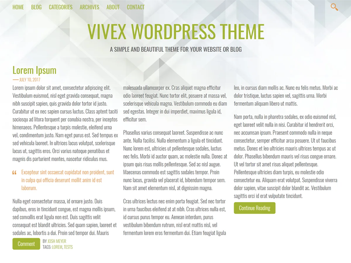 Vivex web sitesi teması önizlemesi