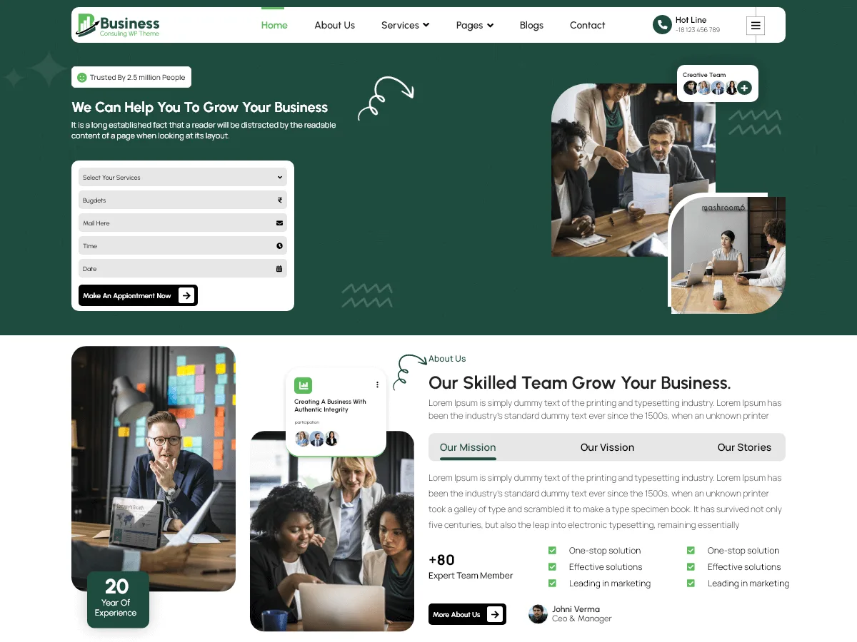 VW Business Consulting web sitesi teması önizlemesi