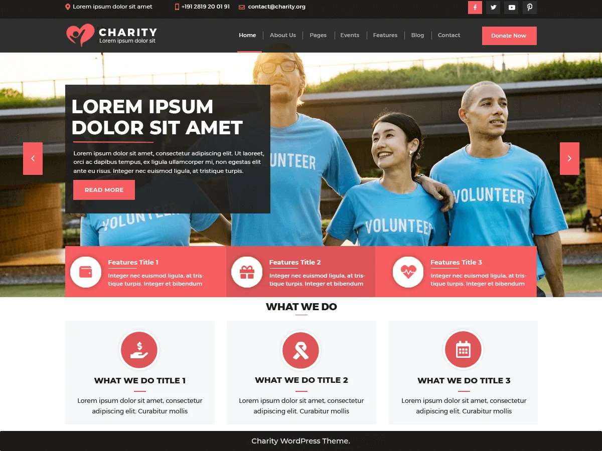 VW Charity NGO web sitesi teması önizlemesi