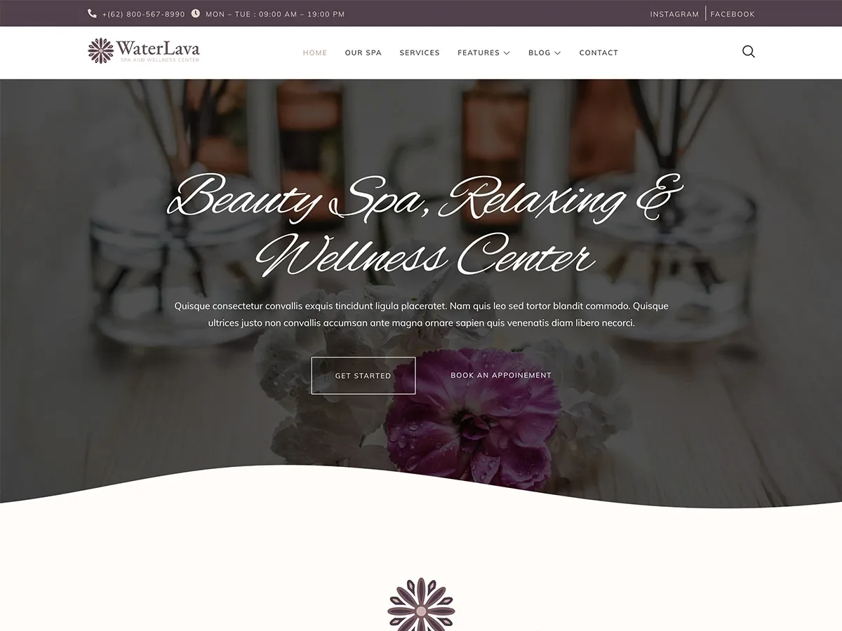 Waterlava spa ve wellness web sitesi teması