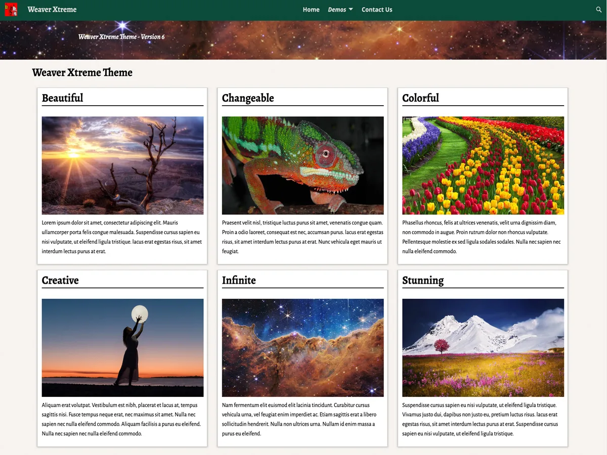 Weaver Xtreme web sitesi teması ile özelleştirilebilir tasarım örneği