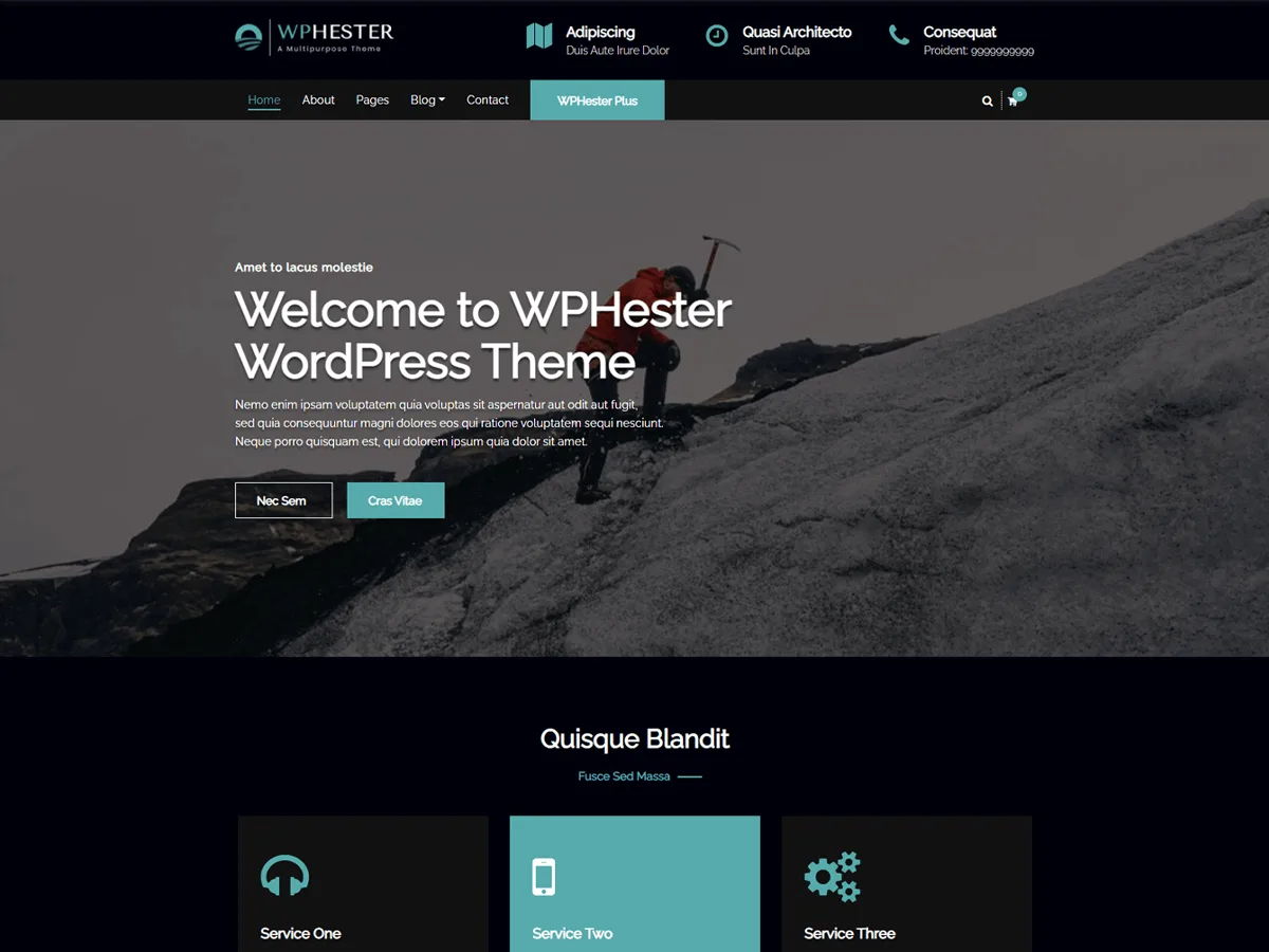 WPHester web sitesi teması önizlemesi