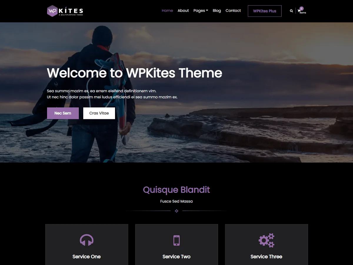 WPKites web sitesi teması önizlemesi