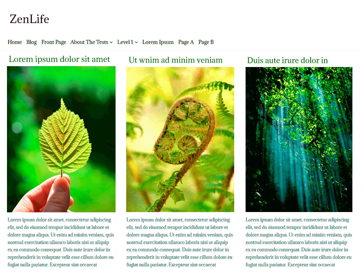 ZenLife web sitesi teması önizlemesi