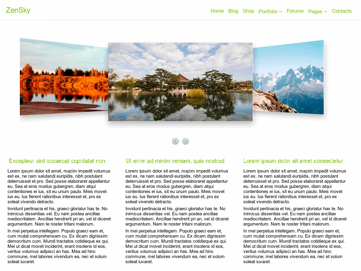 ZenSky web sitesi teması önizlemesi