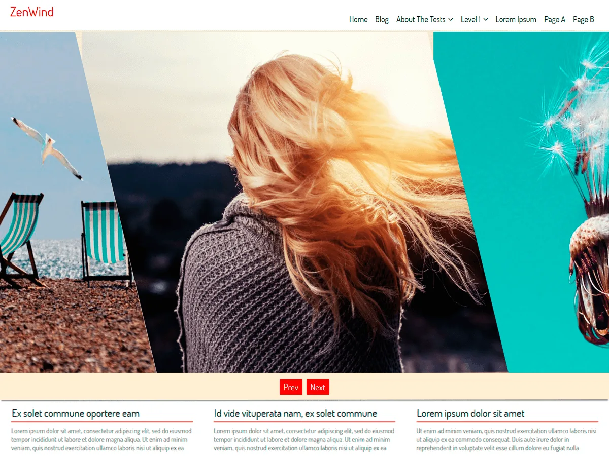 ZenWind web sitesi teması önizlemesi