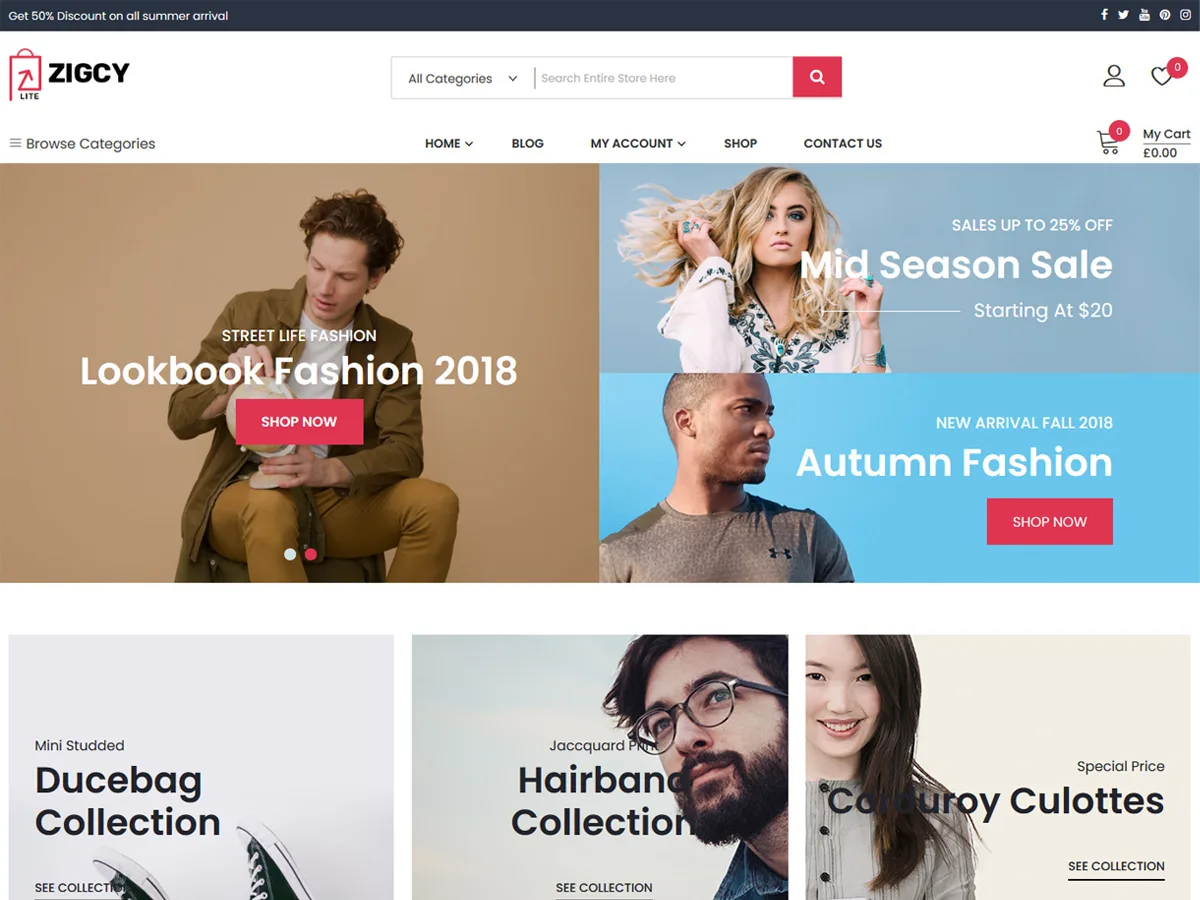 Zigcy Lite web sitesi teması önizlemesi